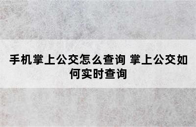 手机掌上公交怎么查询 掌上公交如何实时查询